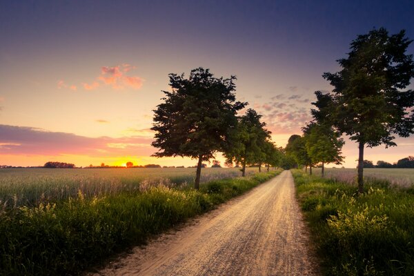 Strada tra i campi sullo sfondo del tramonto