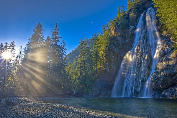 Cascata rocciosa tra i pini