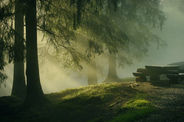 Eine Bank aus Steinen in einem dunklen, nebligen Wald