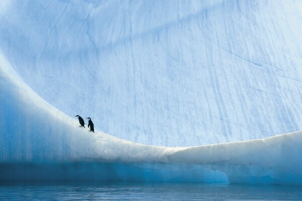 Imaginistisches Foto mit Pinguinen in der Antarktis