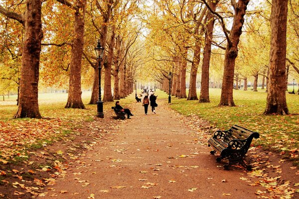 Les gens se promènent dans le parc d automne