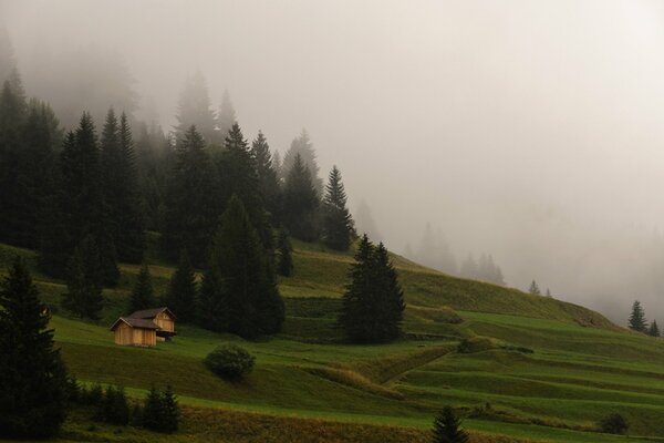 A house on a mountain surrounded by trees