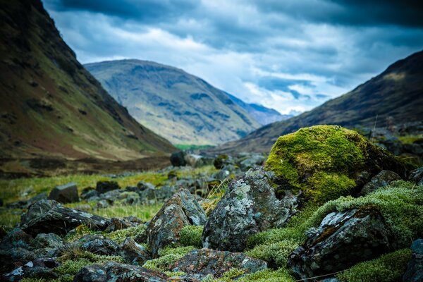Rocas escocesas de las montañas cubiertas de musgo