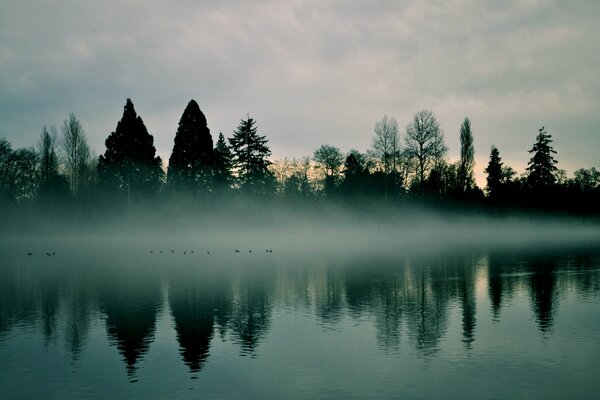 La foschia dell alba della nebbia sul fiume