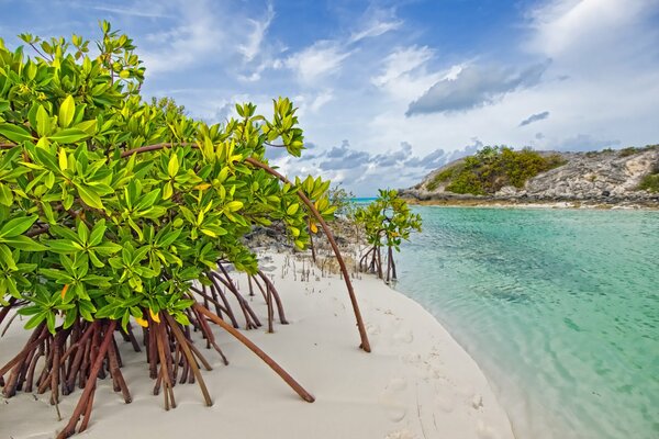 Playa blanca en las Bahamas