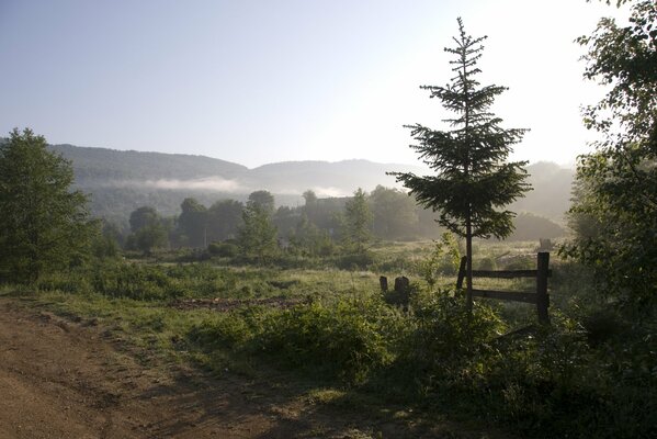 Beautiful nature and foggy landscape