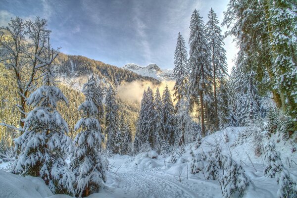 Schöne Winternatur