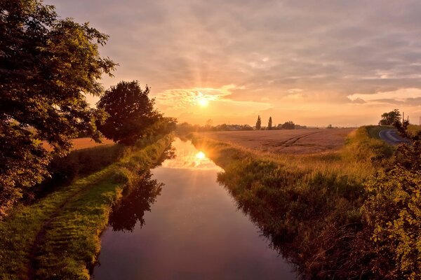 Riflesso del tramonto nel fiume vicino alla foresta