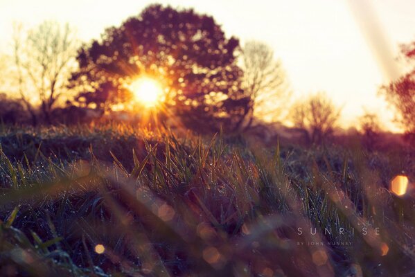 Morning sunrise in nature