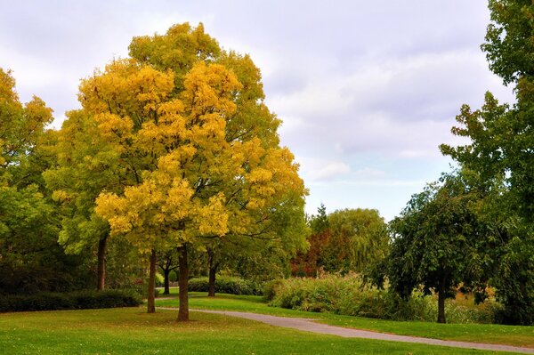 Autumn beauty in the park