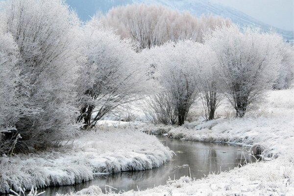 A stream under the mountain between snow trees