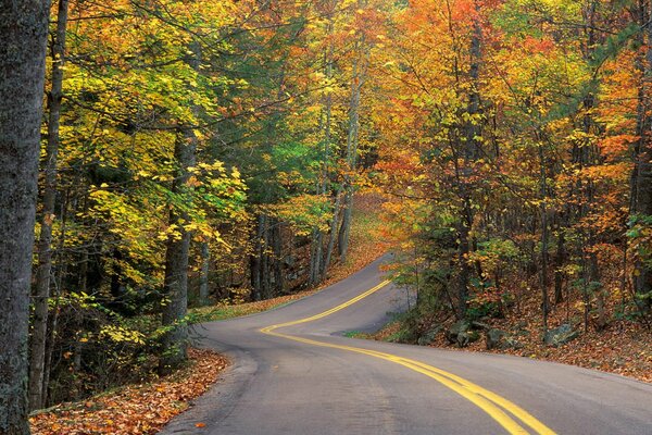 Lange Herbststrecke