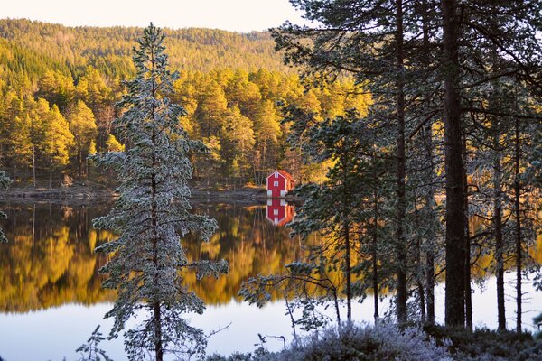 Ein Haus am koniferen Flussufer in Norwegen