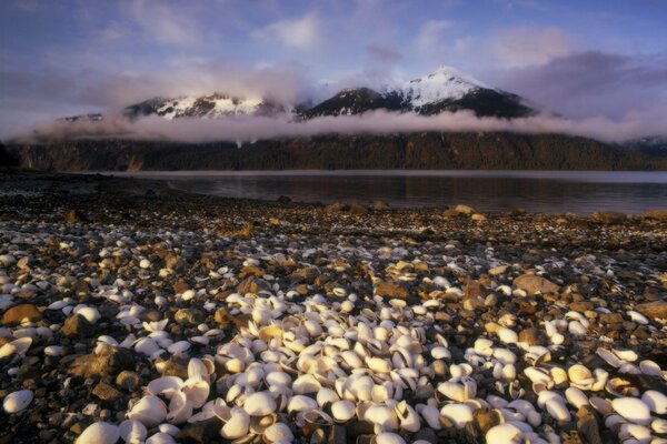 Seashell coast against the background of mountains in the haze