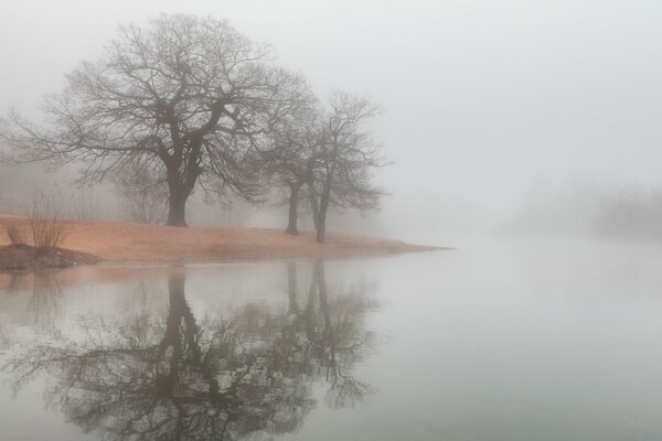 Ein nebliges Foto. Bäume in der Reflexion des Flusses