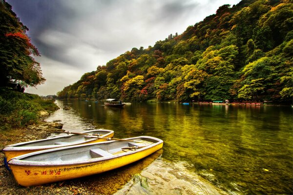 Boat pier near the forest