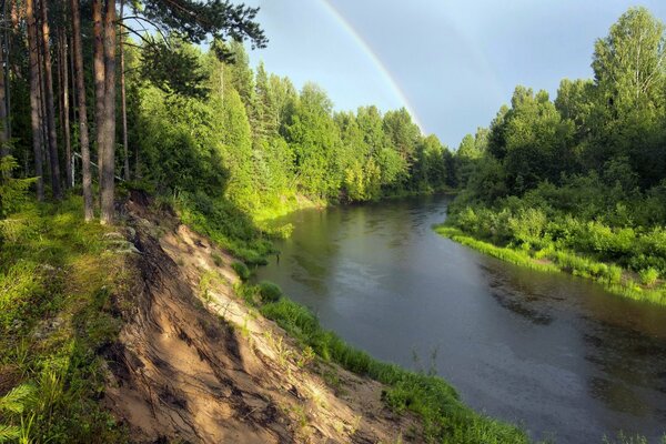 Regenbogen über dem Fluss im Wald