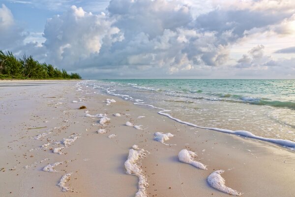 Sea foam on the sand