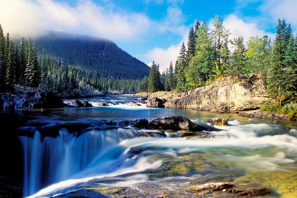 Beau paysage de montagnes avec forêt et cascade