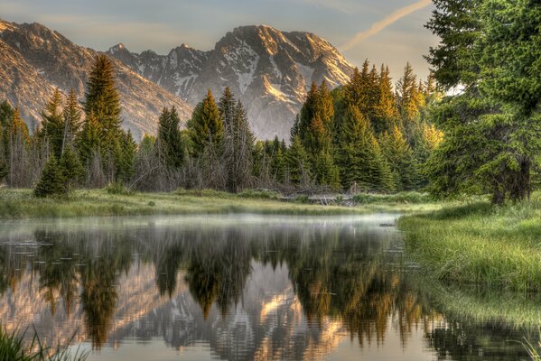 Reflexion von Wald und Bergen im Fluss