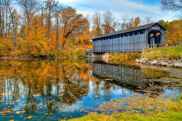 Natura in autunno sul ponte del fiume