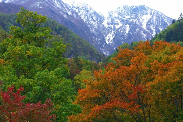 Japanische Herbstfarben am Fuße der Berge