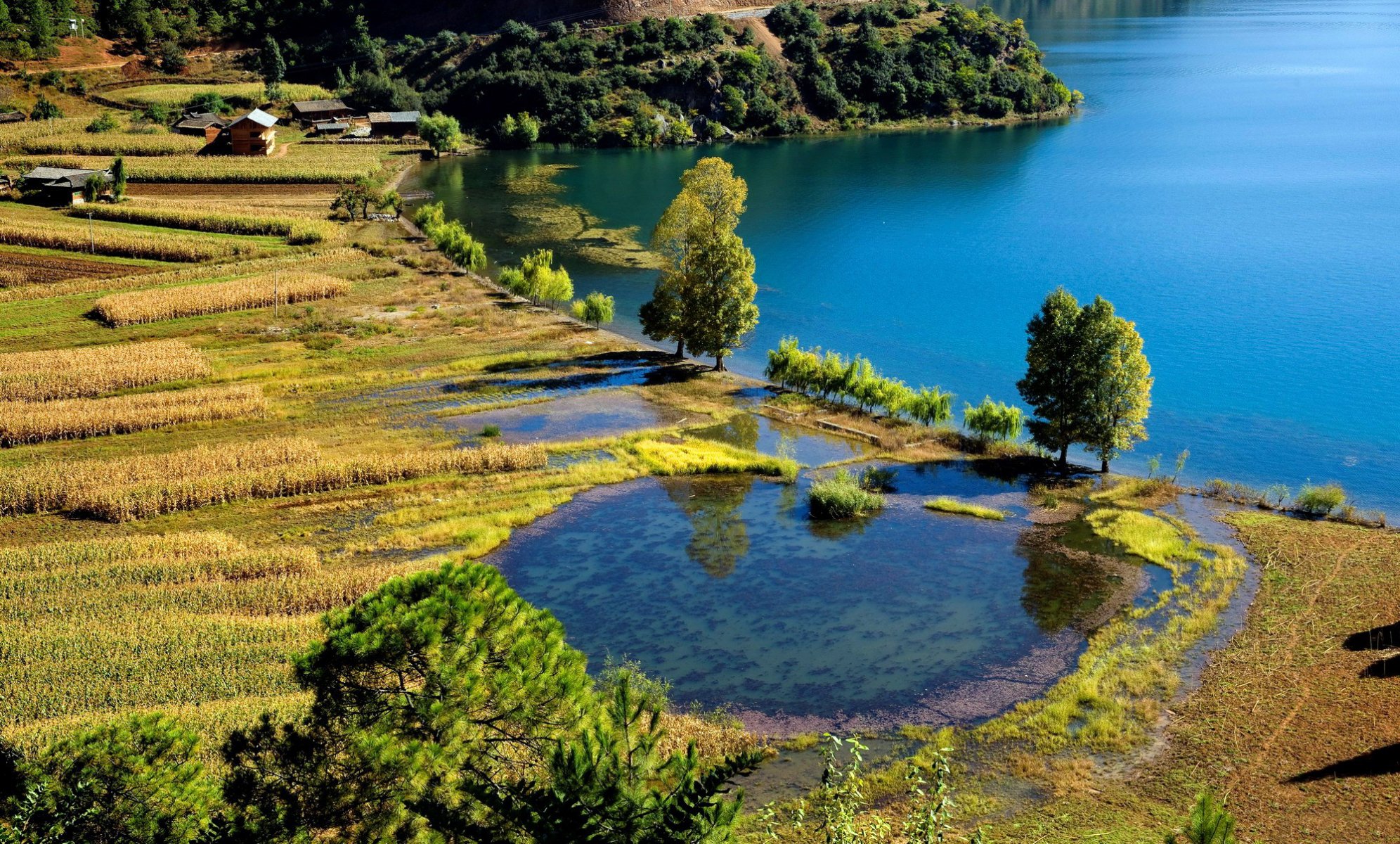 lago campi raccolto semina alberi verde case villaggio fattorie bellezza