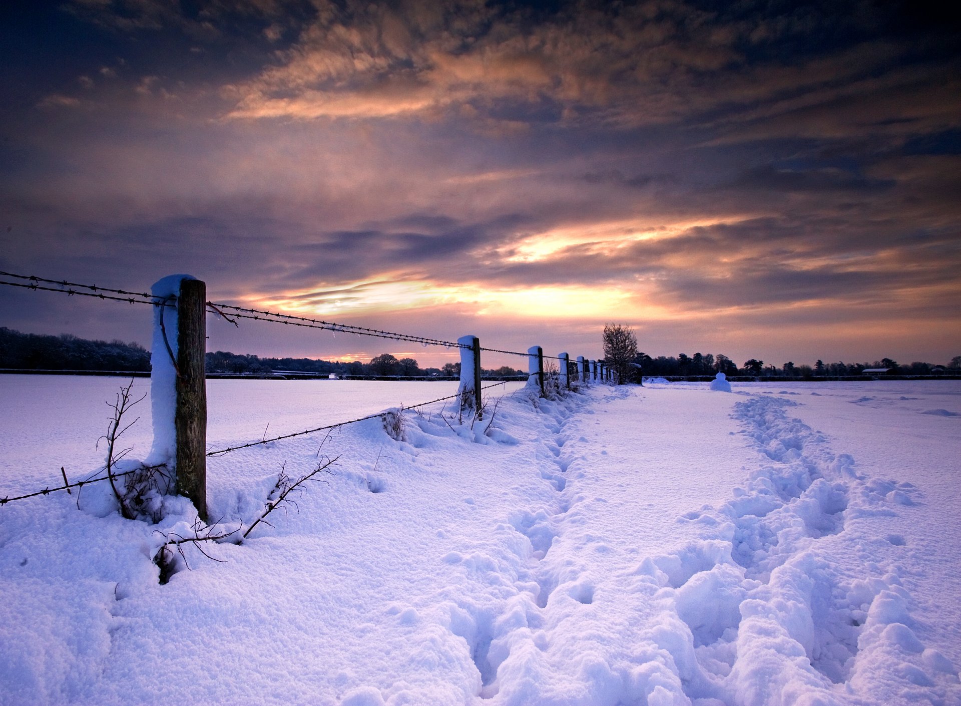 nature hiver coucher de soleil neige traces clôture