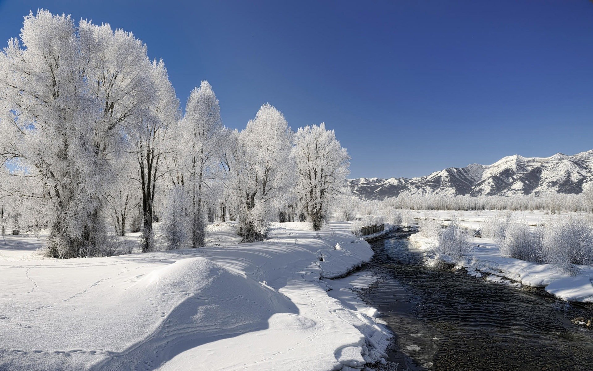 природа зима снег река деревья иней