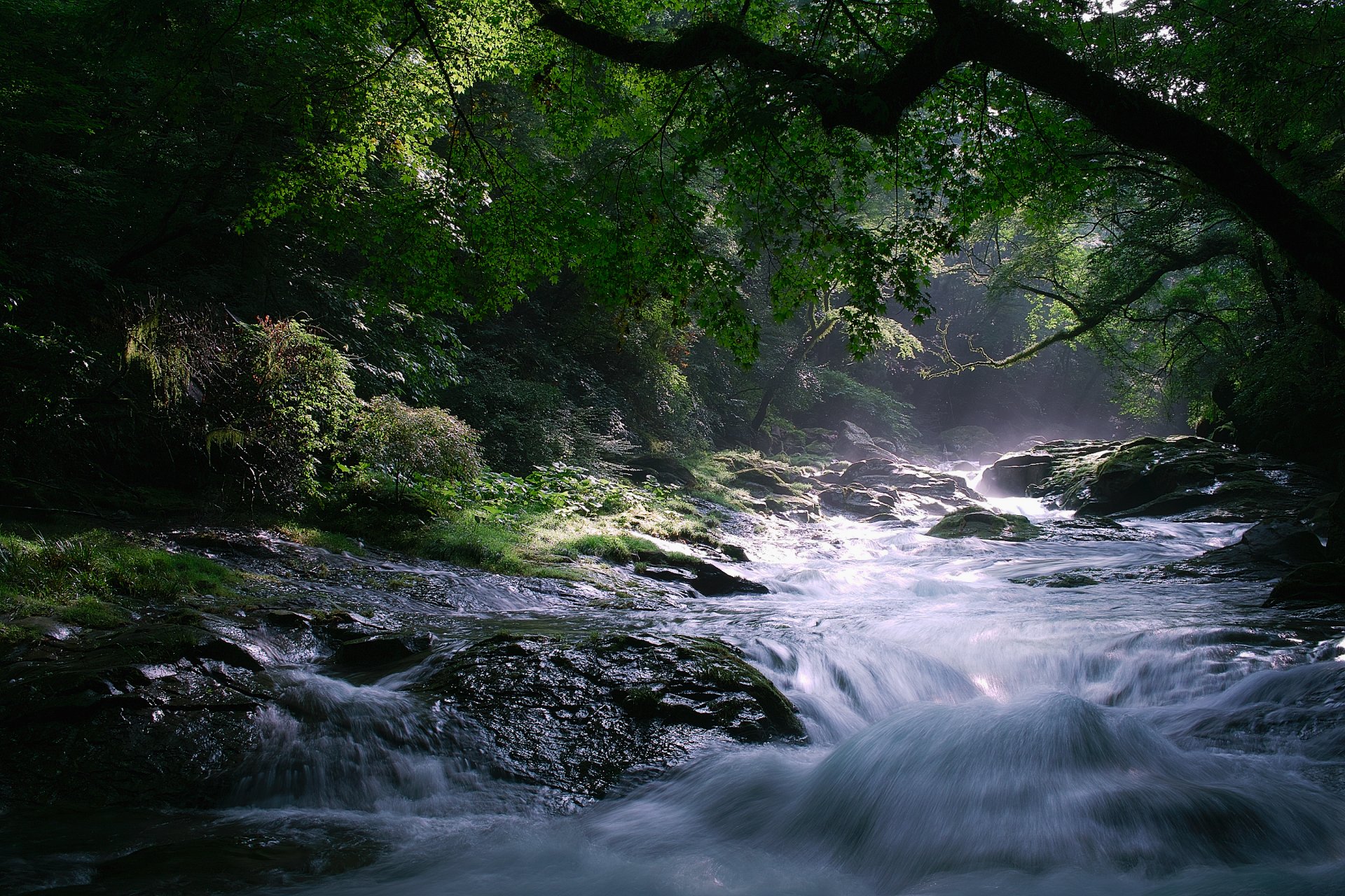 naturaleza río corriente árboles piedras