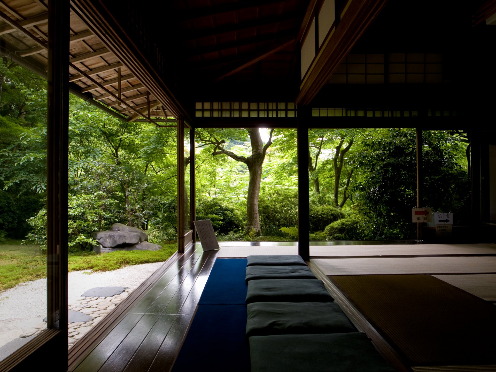 forest temple tree zen silence relax meditation search house