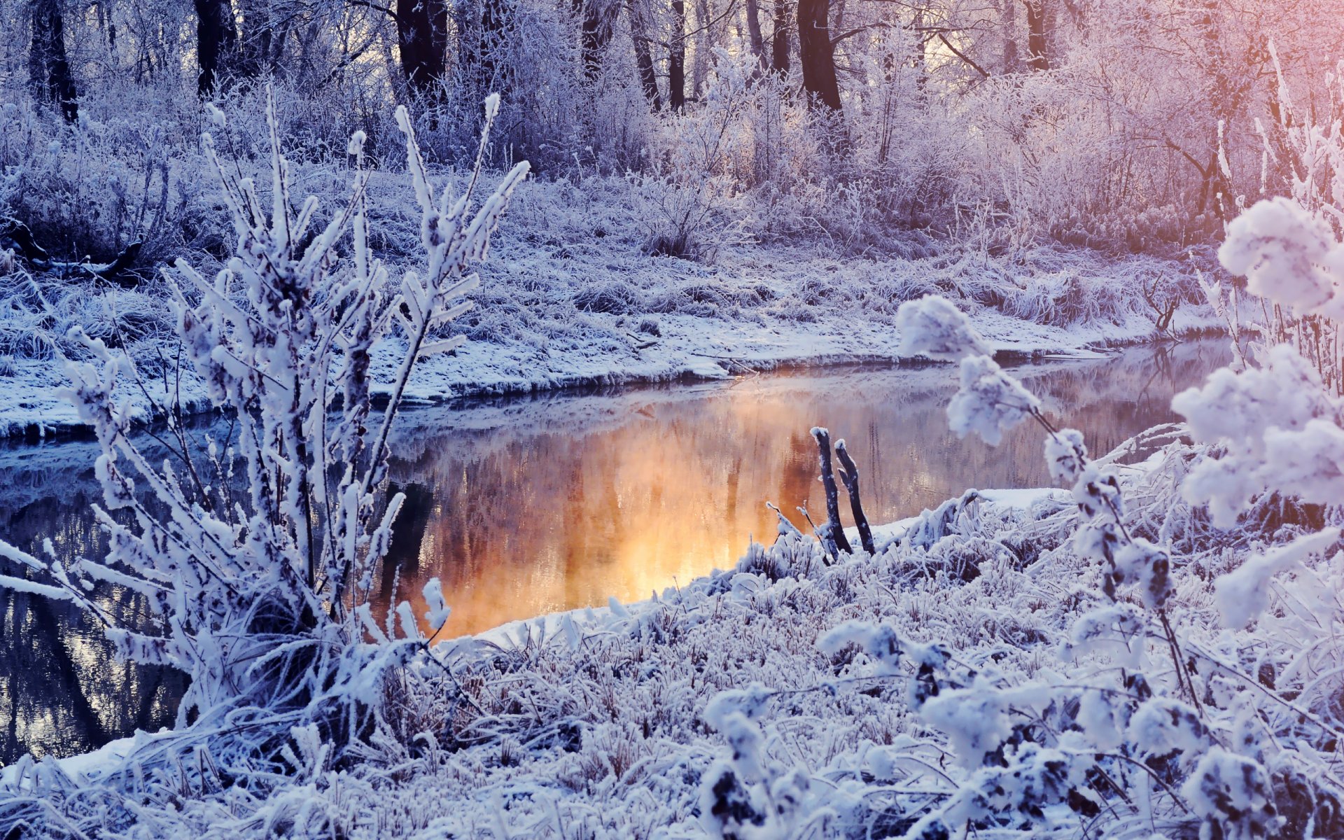 invierno nieve lago