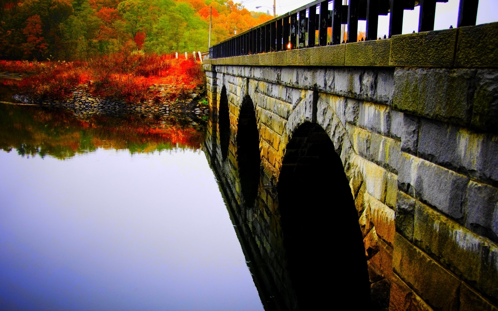 autumn river water surface of stone bridge park tree