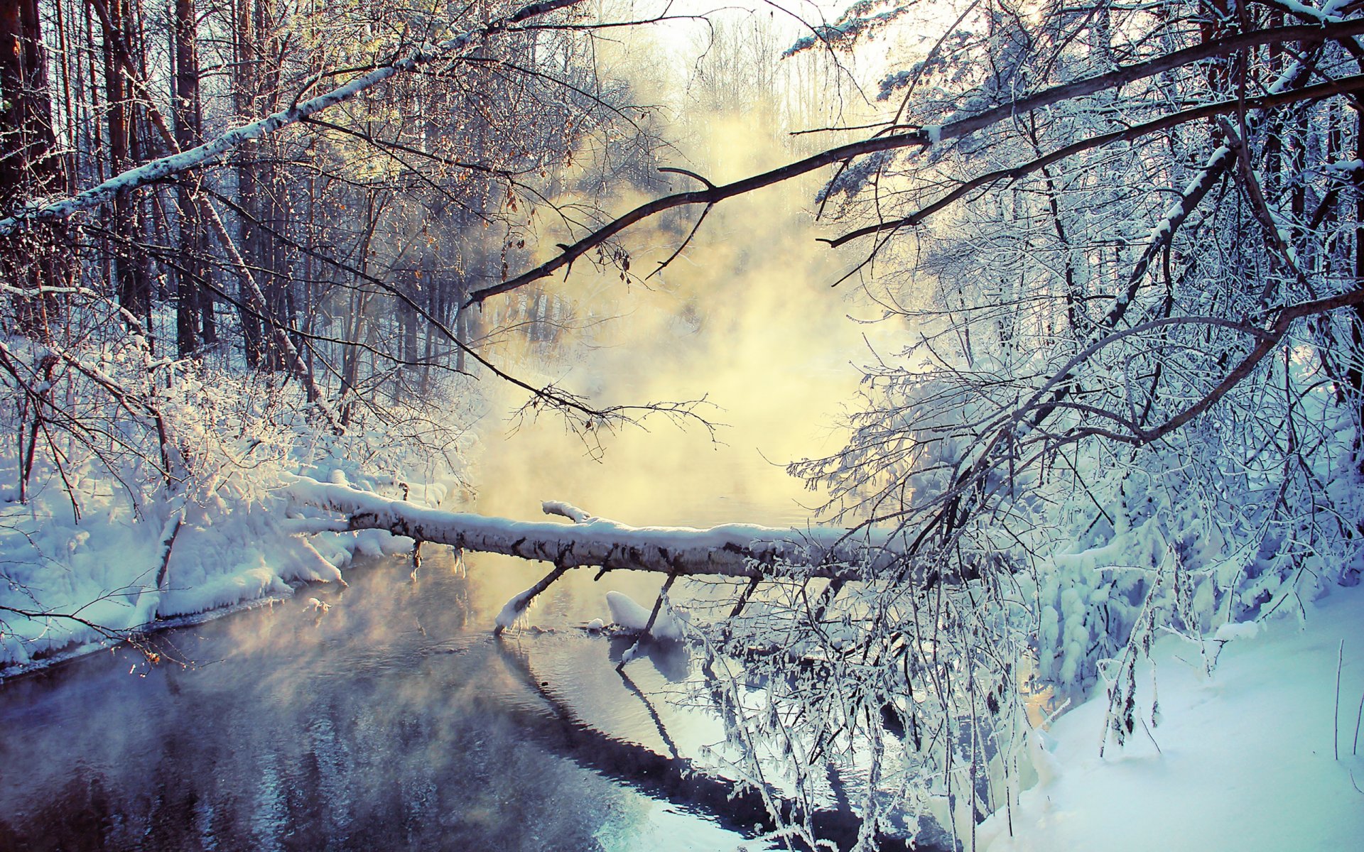 inverno lago neve vapore rami