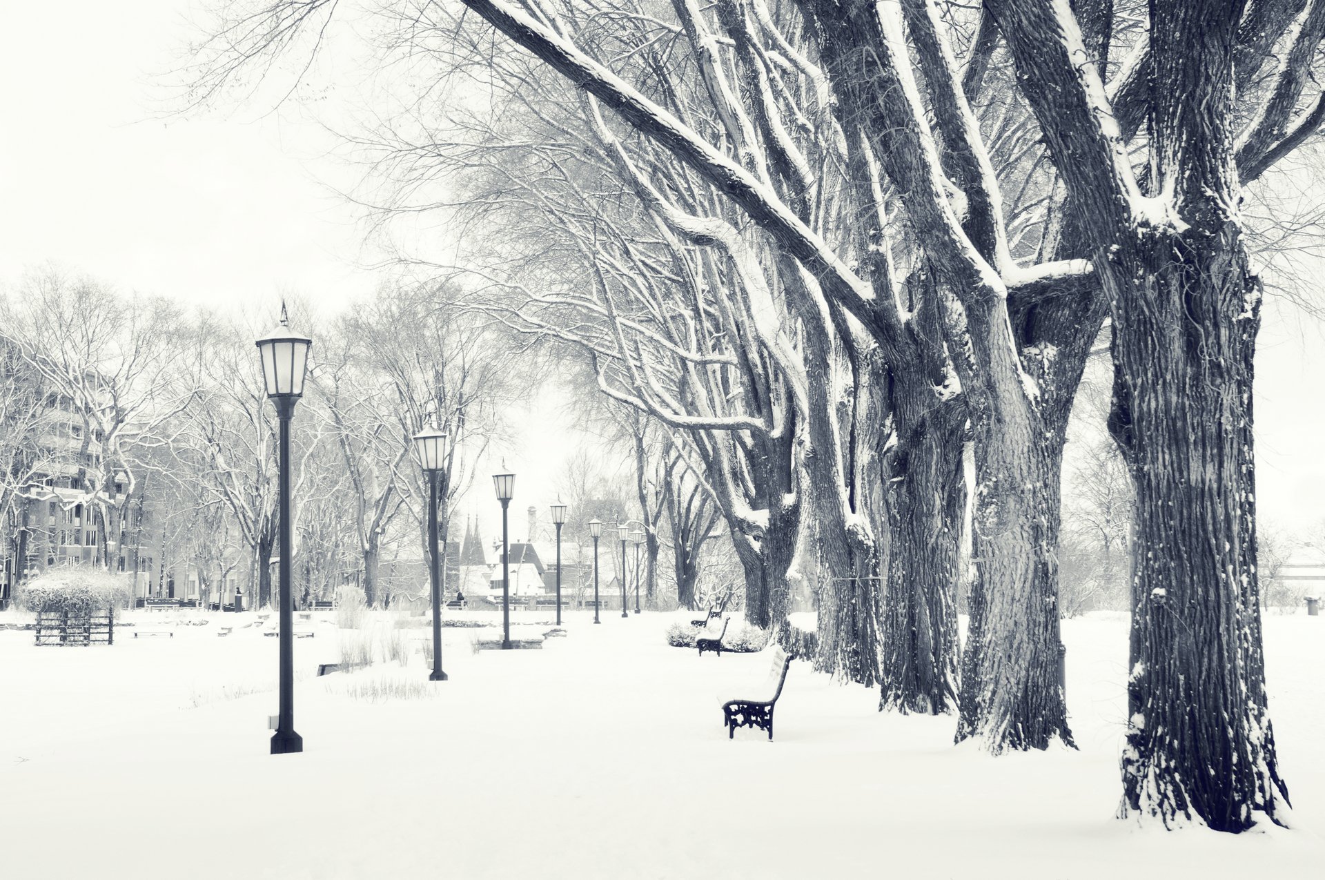 parc lanterne banc hiver neige