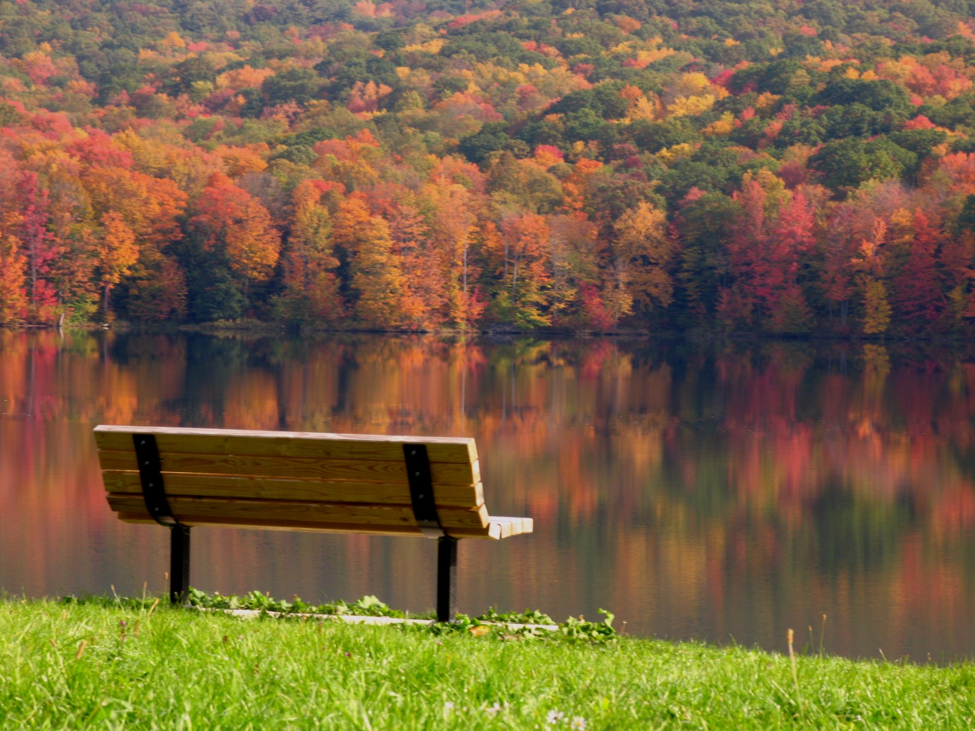 autumn trees colorful leaves day bench bench bench river reflection landscape serenity