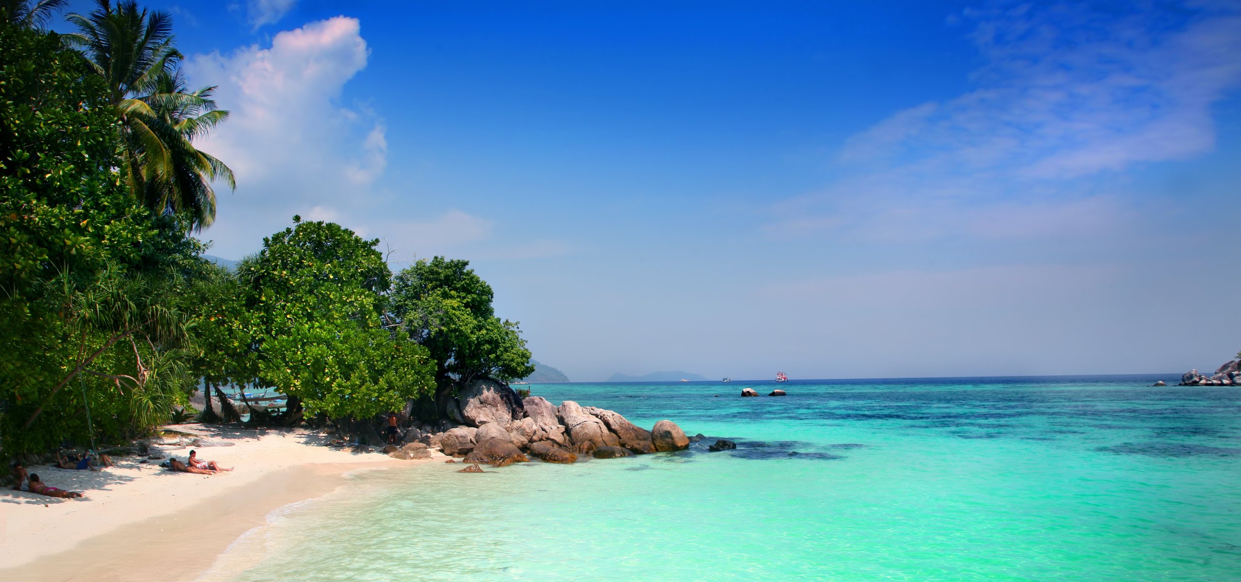 ocean tropiki palmy egzotyka plaża