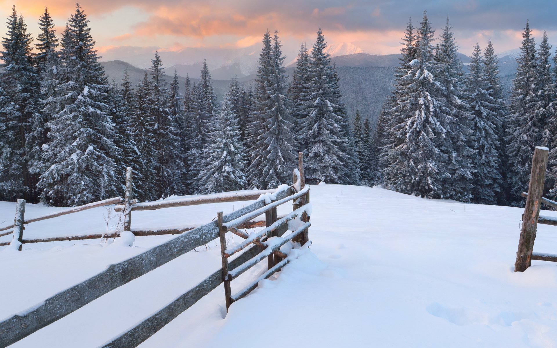 winter abend schnee spuren berge wald bäume weihnachtsbäume zaun