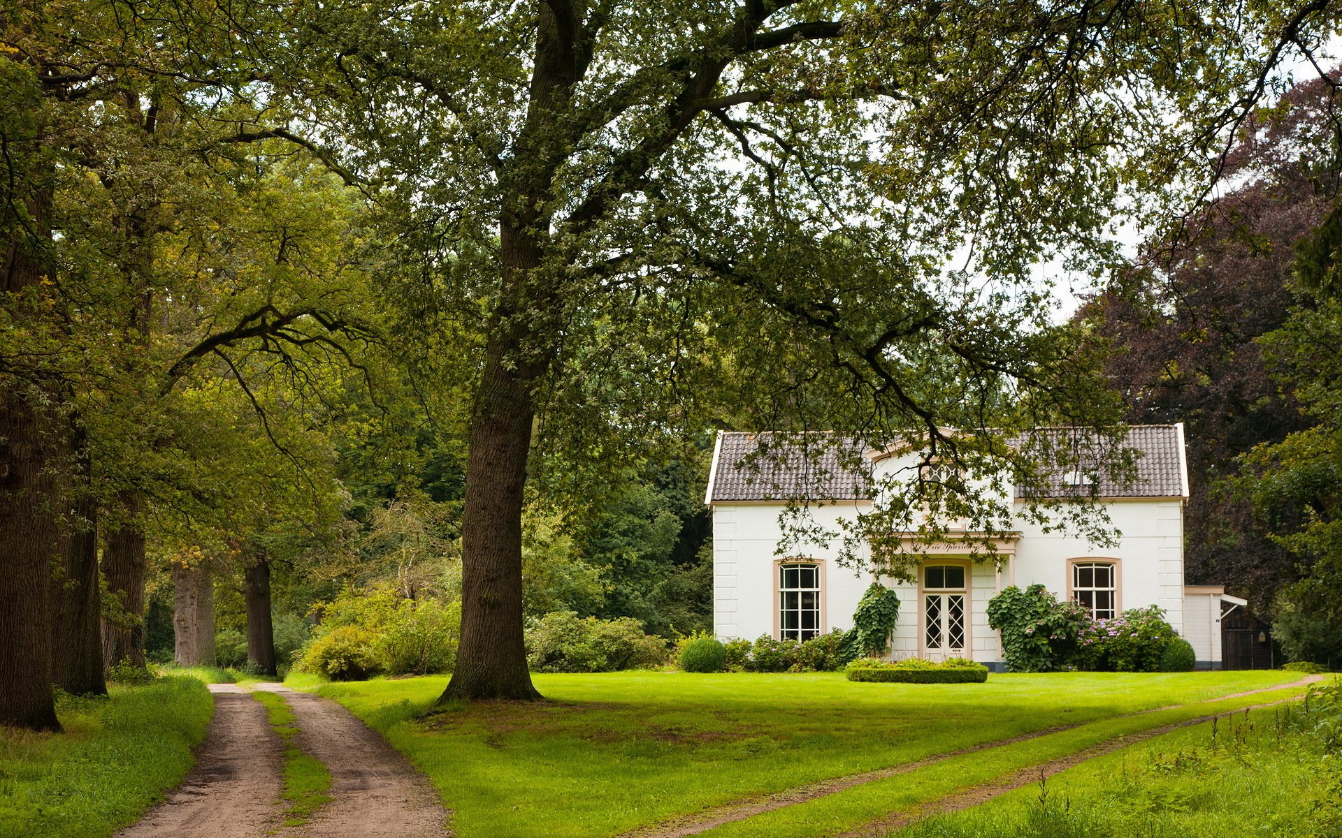 casa strada alberi