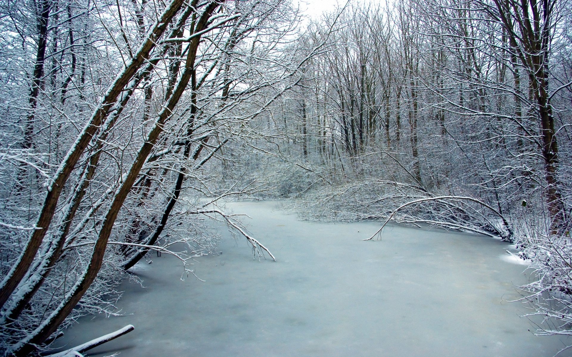 invierno escarcha hielo río árboles