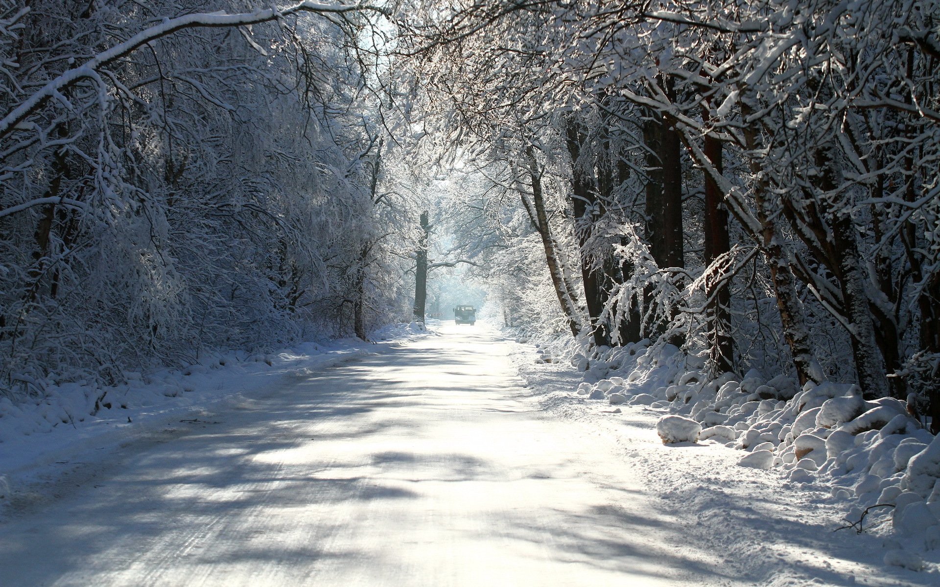 invierno camino árboles