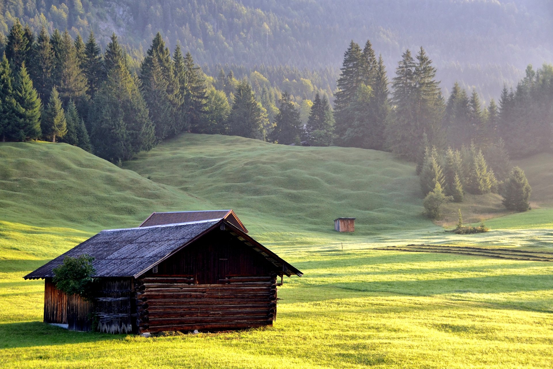 natura montagne pendio erba casa foresta