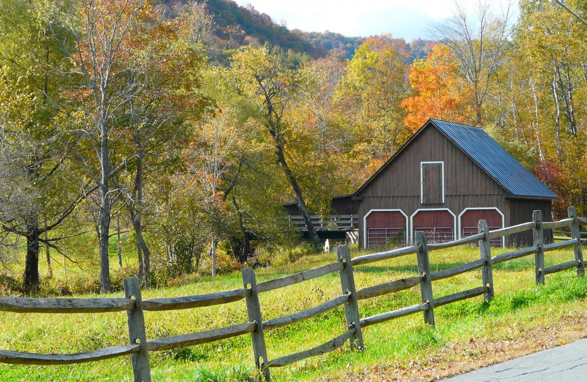 autunno alberi casa erba recinzione