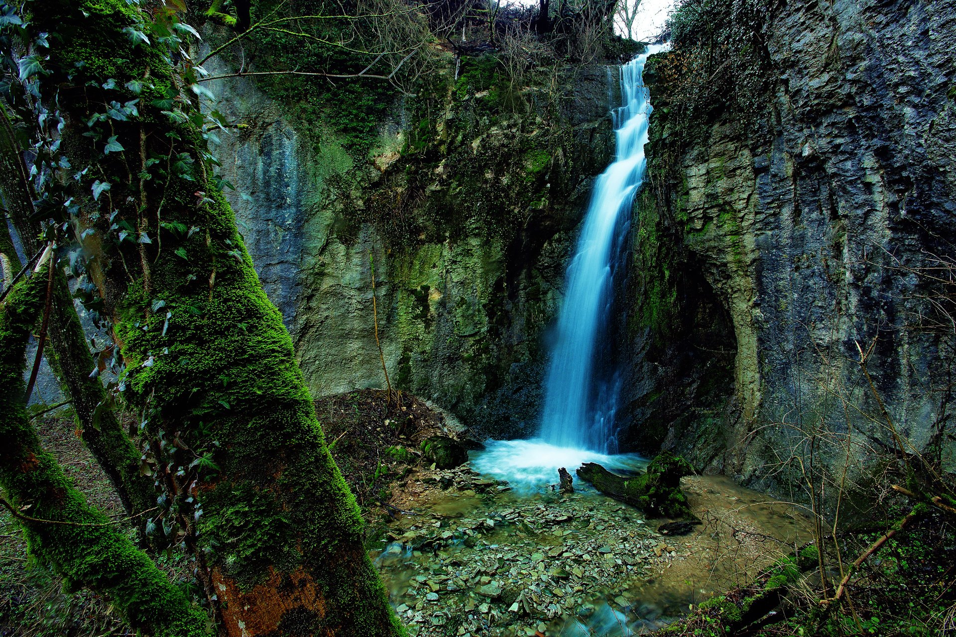 nature cascade rochers forêt