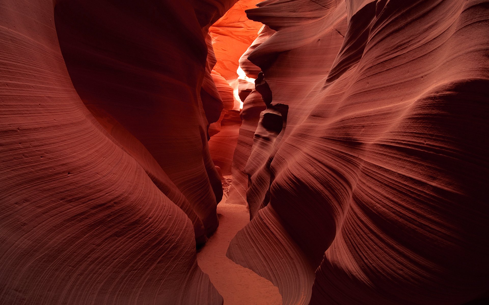 arizona antelope canyon macro carta da parati degli stati uniti carta da parati degli stati uniti colorado fondo antelope canyon slot canyon sud-ovest road trip io canyon deserto arenaria carta da parati carta da parati