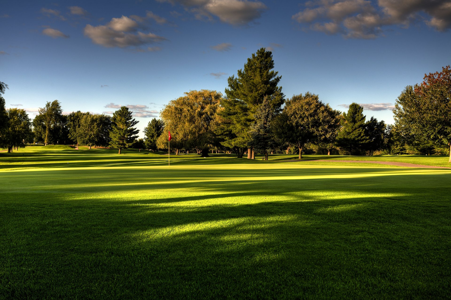 nature golf course tree grass sky summer