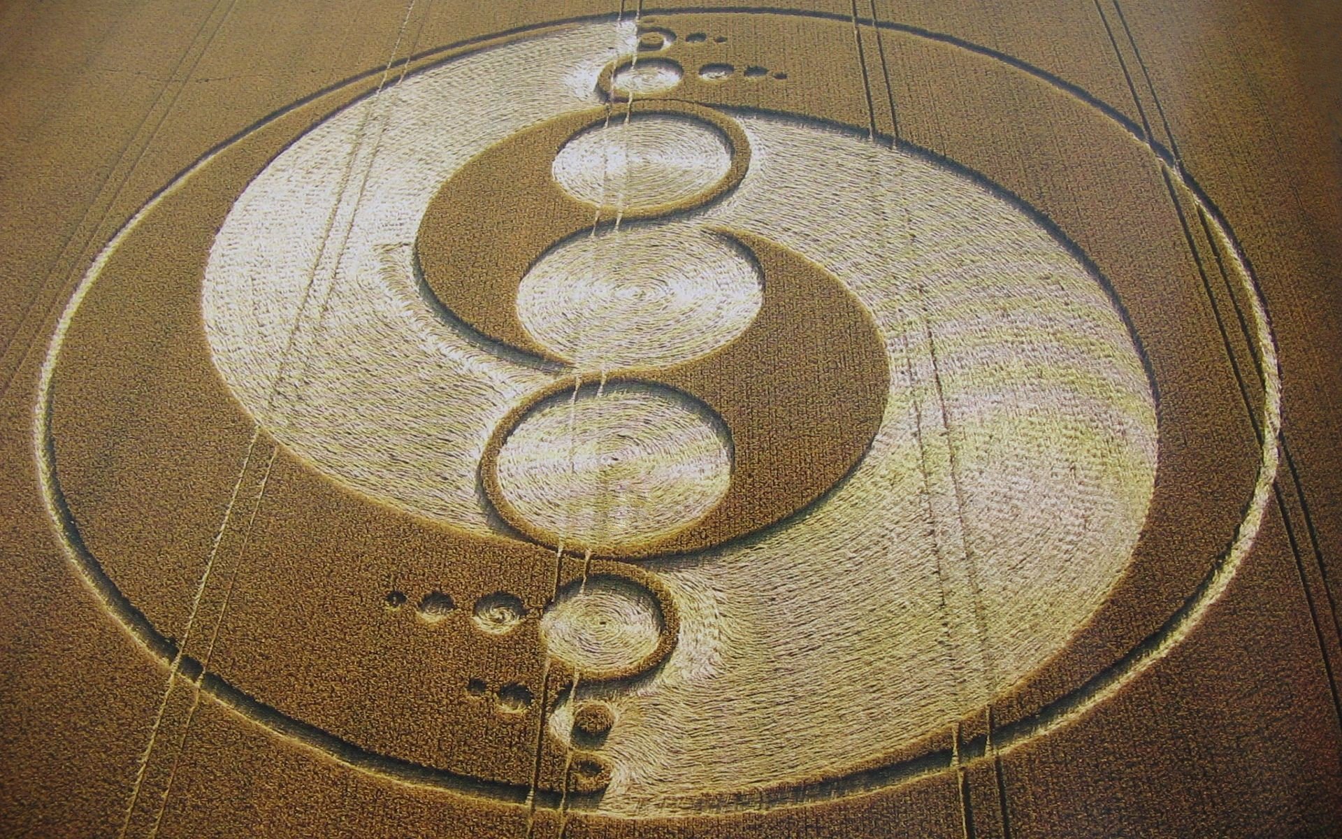 crop circles ovni champ envie de croire