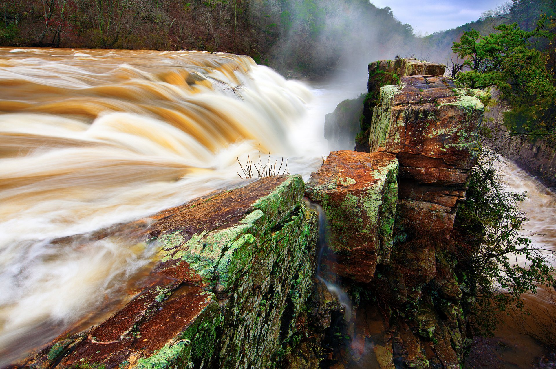 nature rivière cascade ruisseau digue pierres buissons