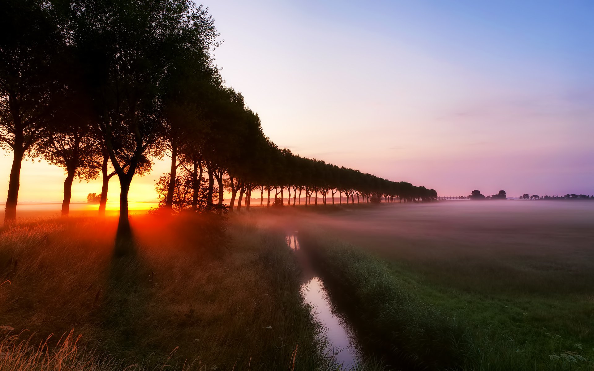 dämmerung strahlen nebel bach gras bäume