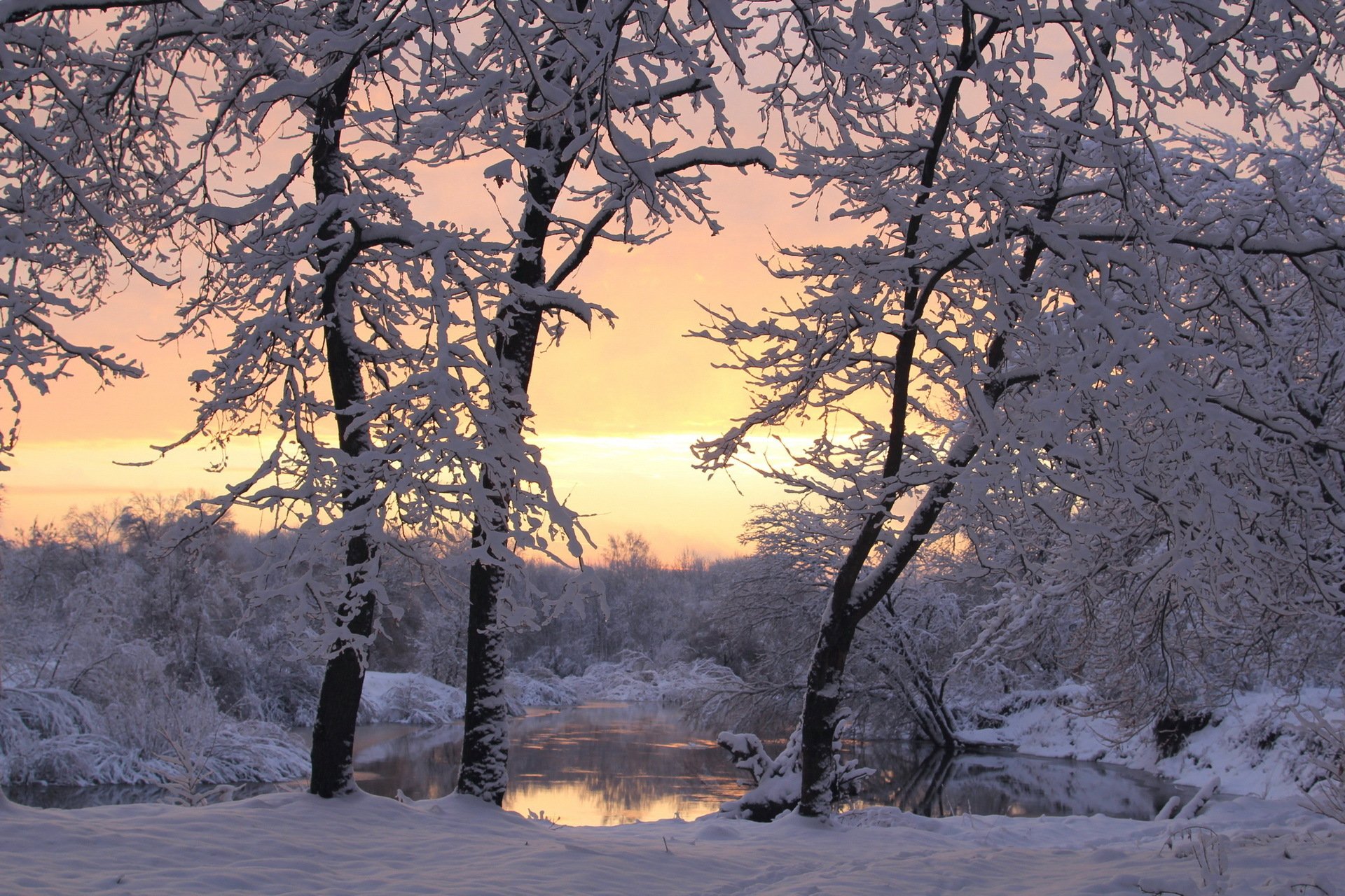 hiver arbres neige coucher de soleil